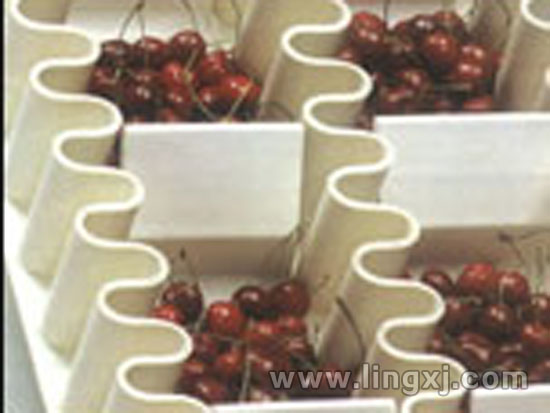 ʳƷȹߵ